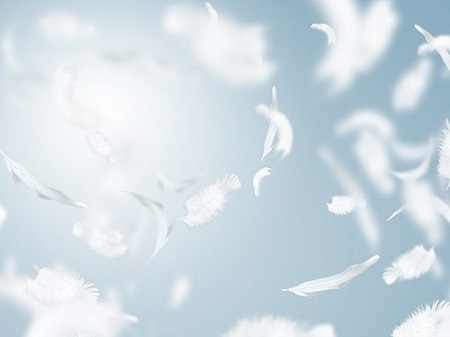 Couette en duvet et plumes